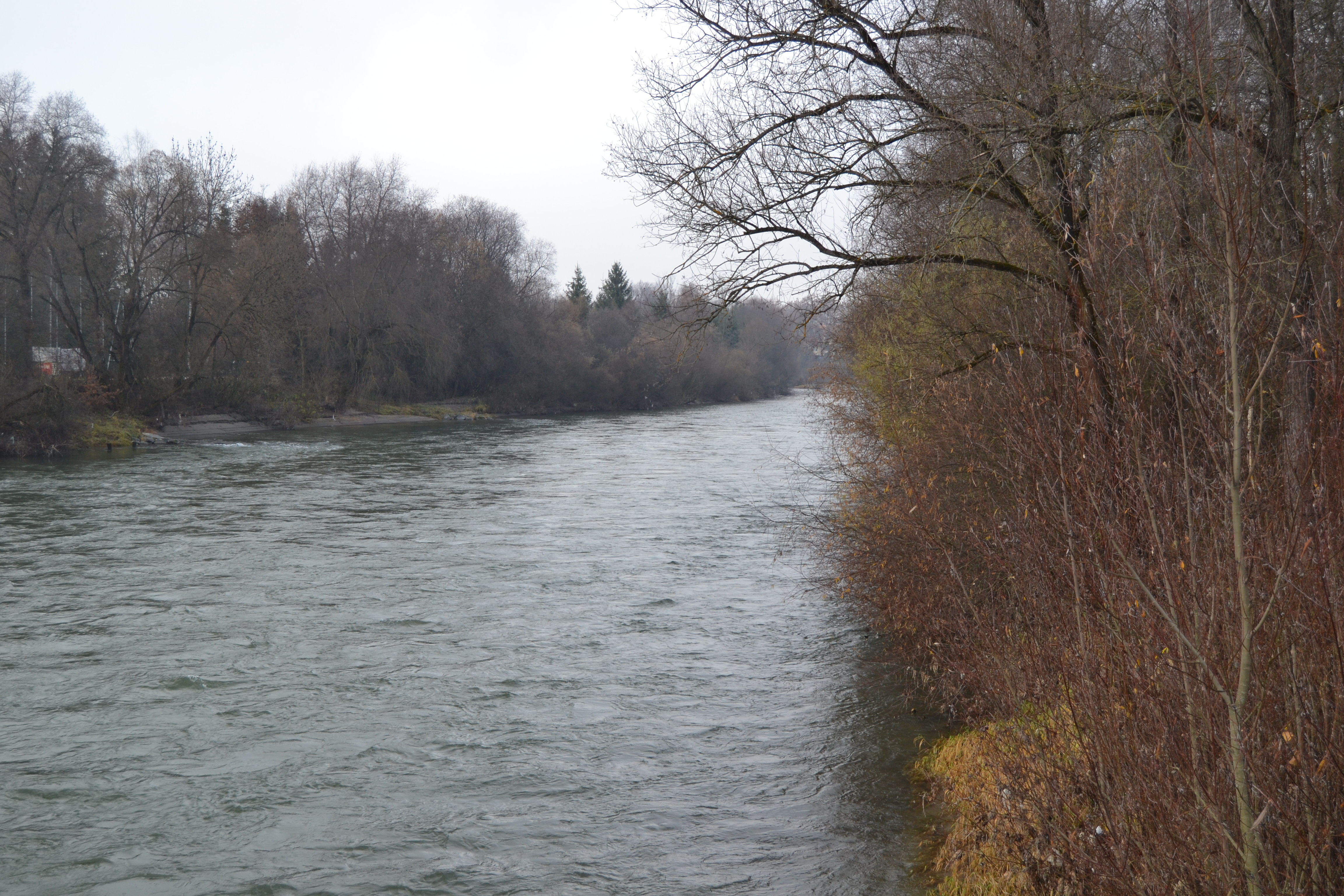 20121130-huchenfischenfredimoser-01