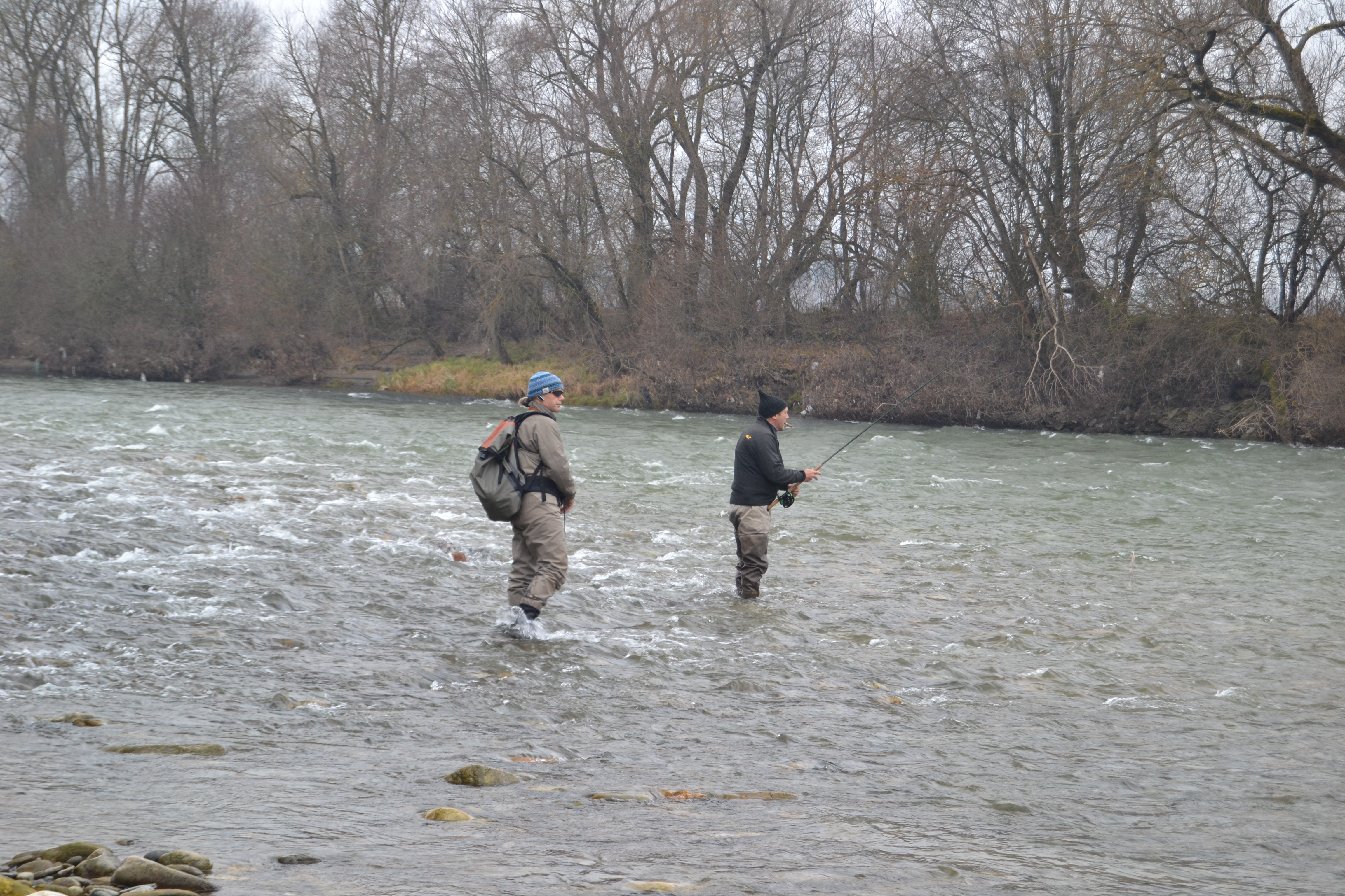 20121130-huchenfischenfredimoser-10