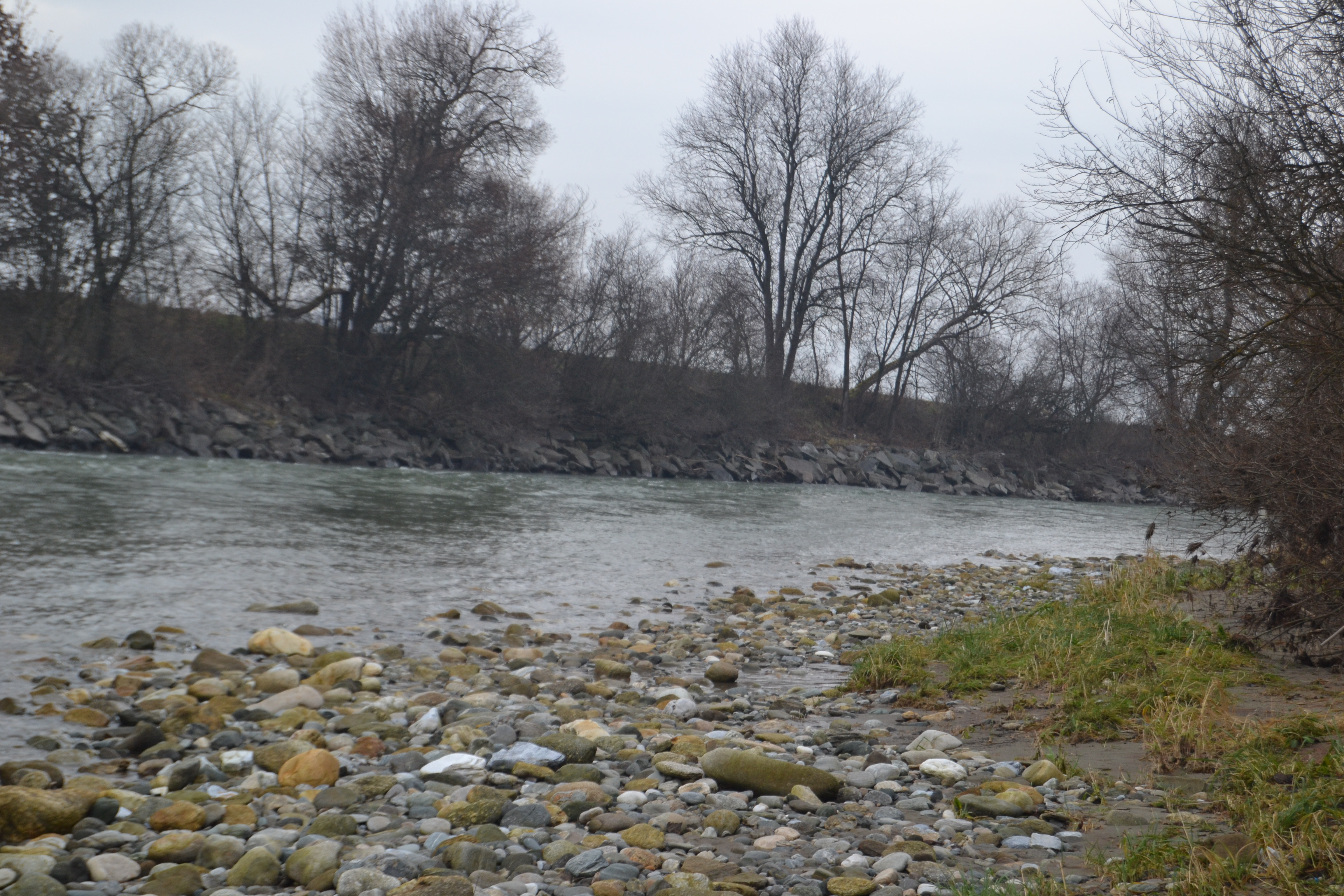 20121130-huchenfischenfredimoser-11