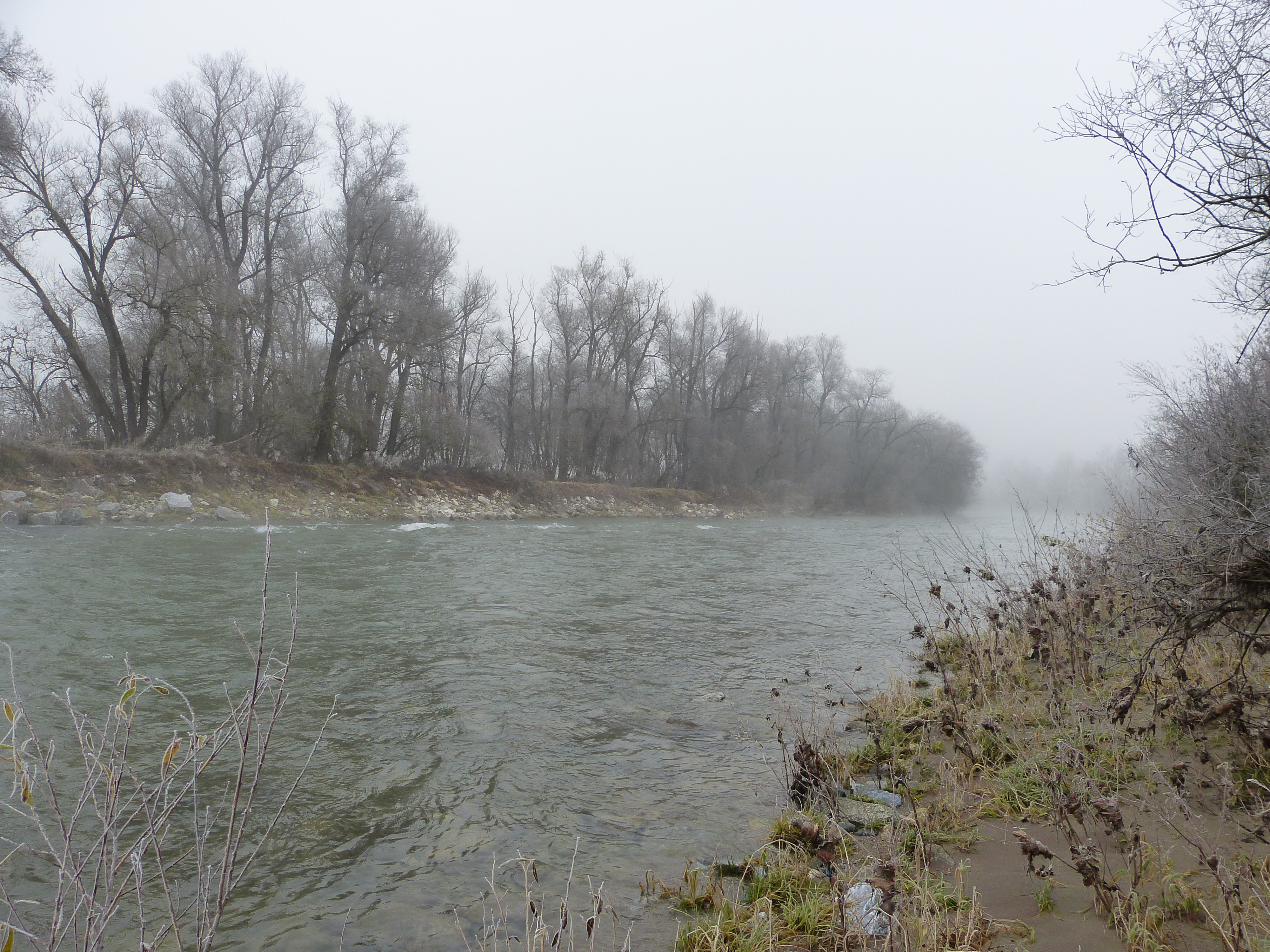 20121130-huchenfischenfredimoser-13