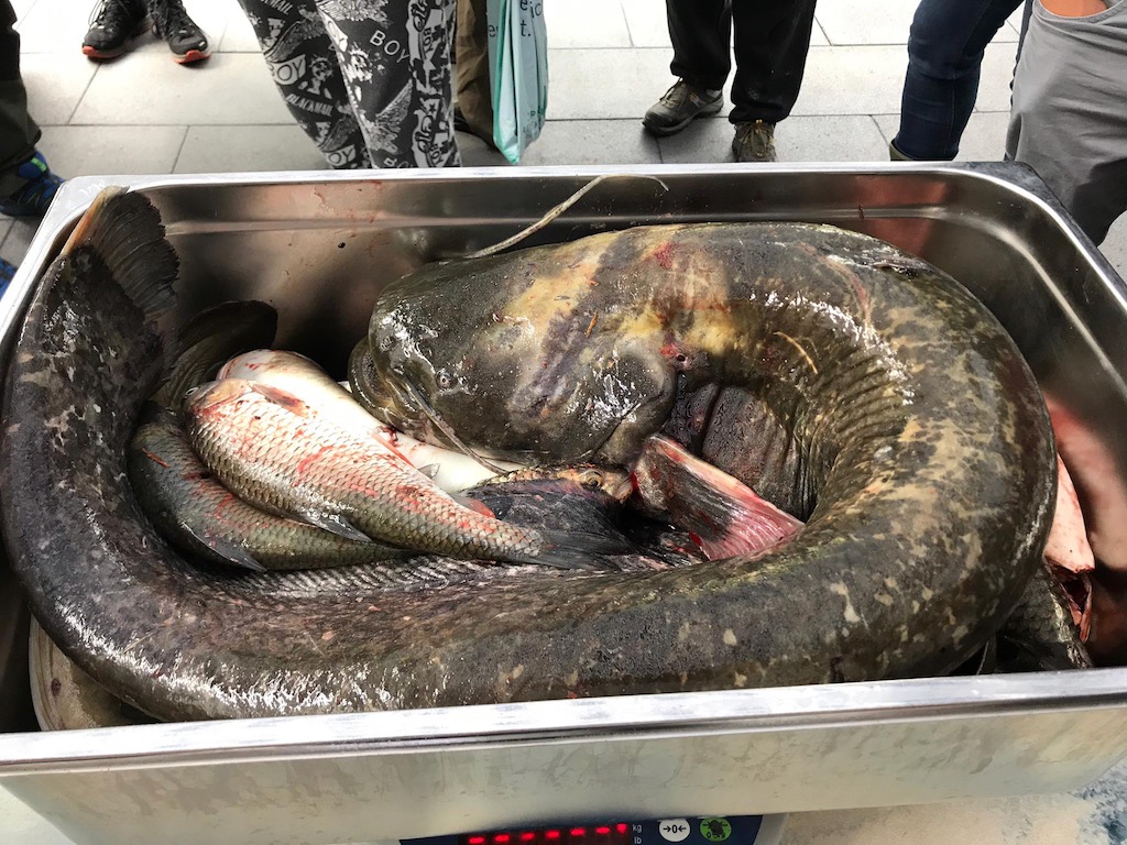 ae44c45a-dff5-4c64-a5f0-174e14587cfd