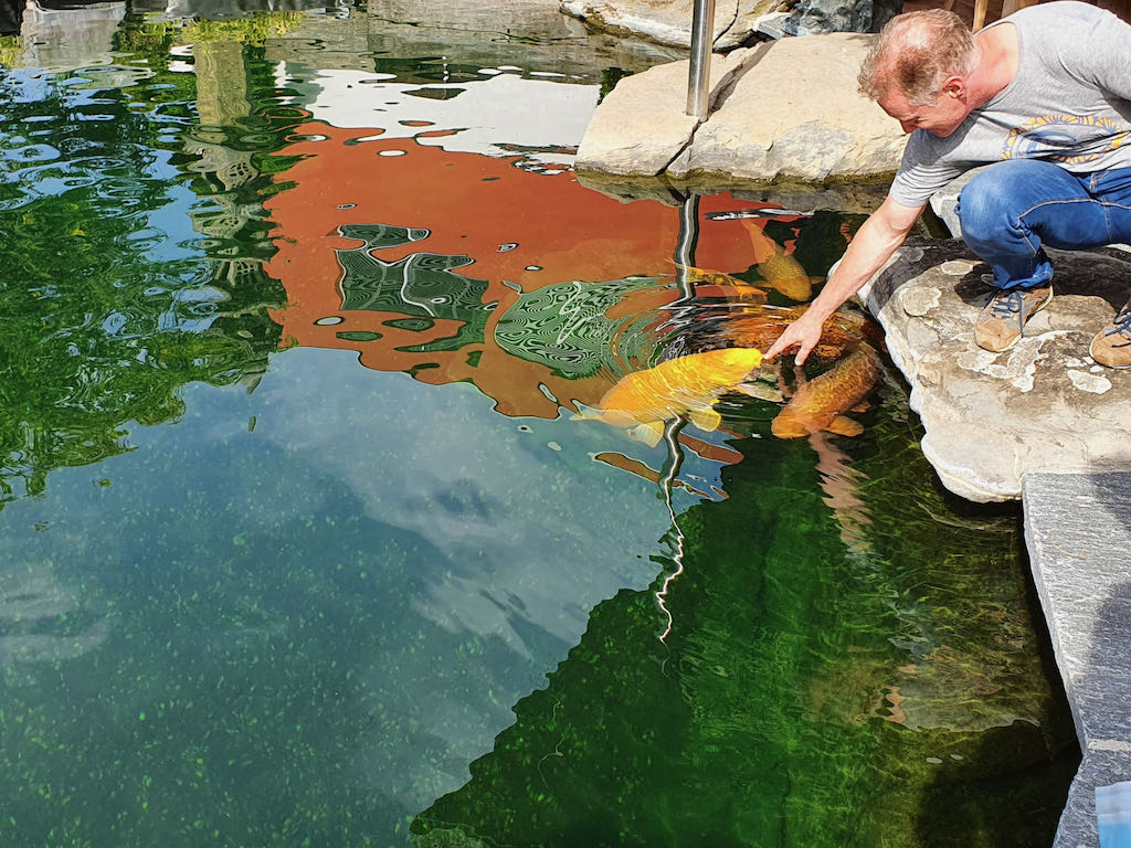 421d9577-2fa0-4b93-87f6-5ef0213a7c4a