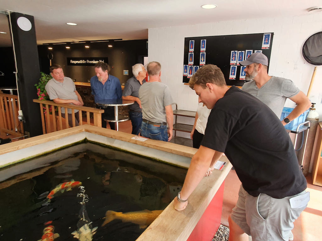 527bd179-2a3d-411e-b2a3-90bfc161cf