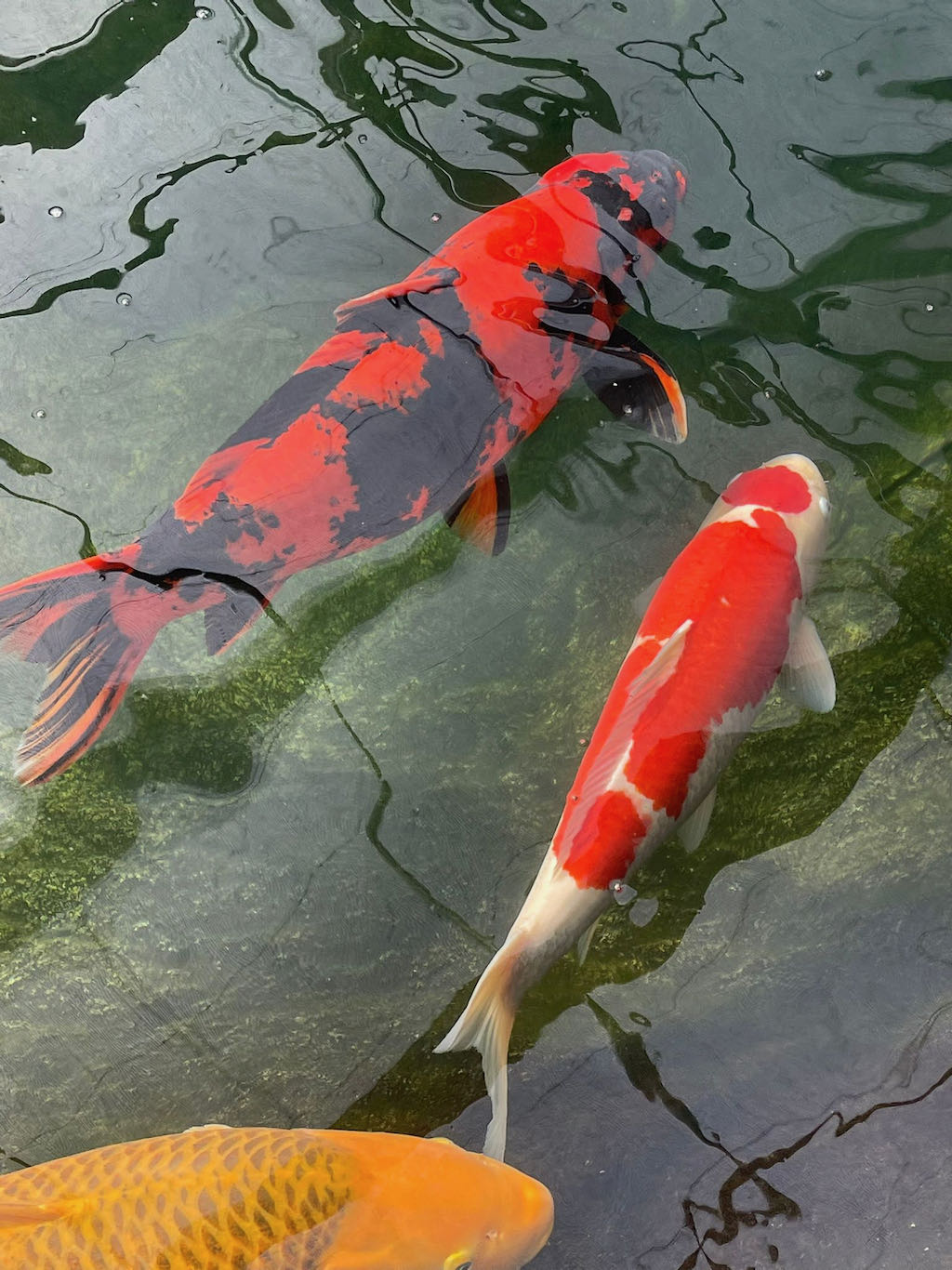 744718ba-8d3a-417f-a54a-ebf73dc3a50f