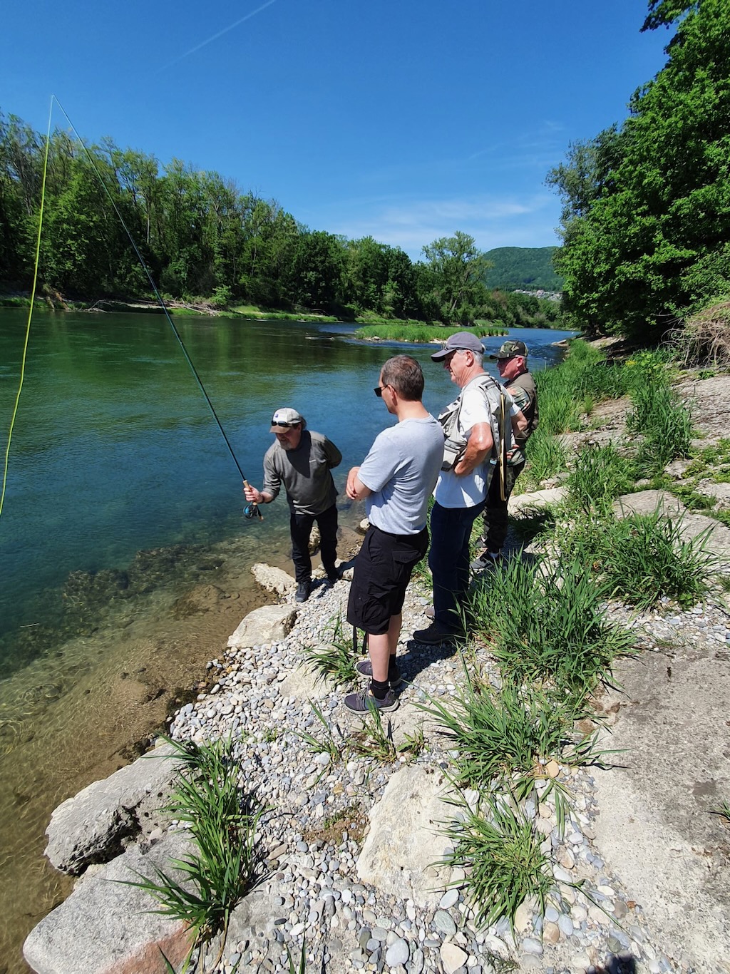 31a8f16b-a525-4d2b-8d54-27d6d7c9738f