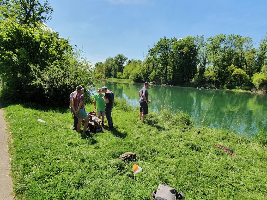 ceef42e0-e14a-405d-95b0-d006b38da4a5