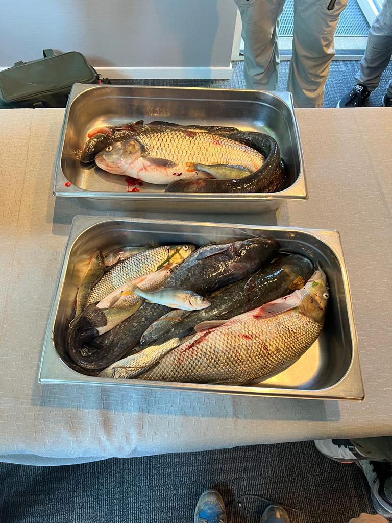 c297ed37-b6fe-4d8f-b2b4-72e35b307a67